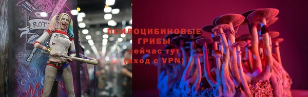 ешки Алексеевка