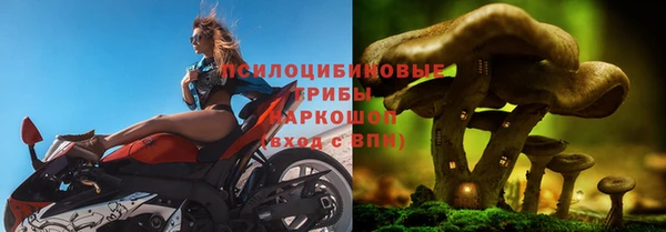 ешки Алексеевка