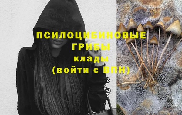 СК Абаза